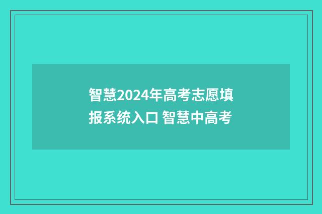智慧2024年高考志愿填报系统入口 智慧中高考