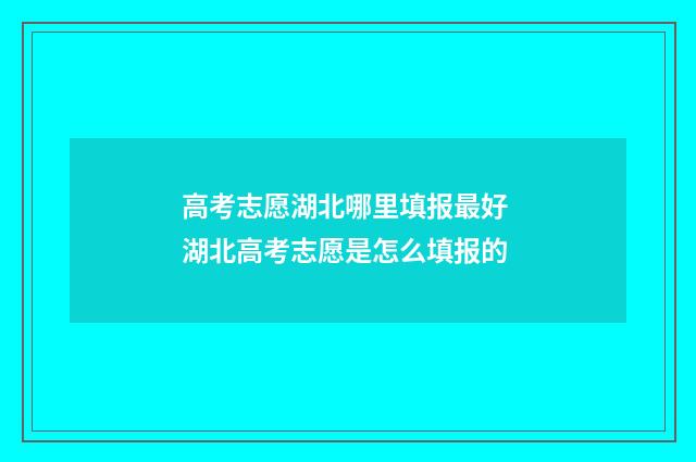 高考志愿湖北哪里填报最好 湖北高考志愿是怎么填报的