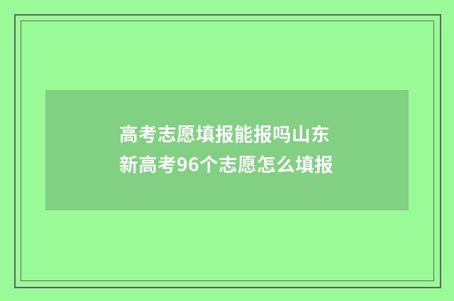 高考志愿填报能报吗山东 新高考96个志愿怎么填报