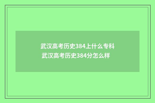 武汉高考历史384上什么专科 武汉高考历史384分怎么样