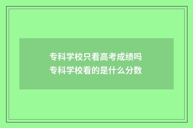 专科学校只看高考成绩吗 专科学校看的是什么分数