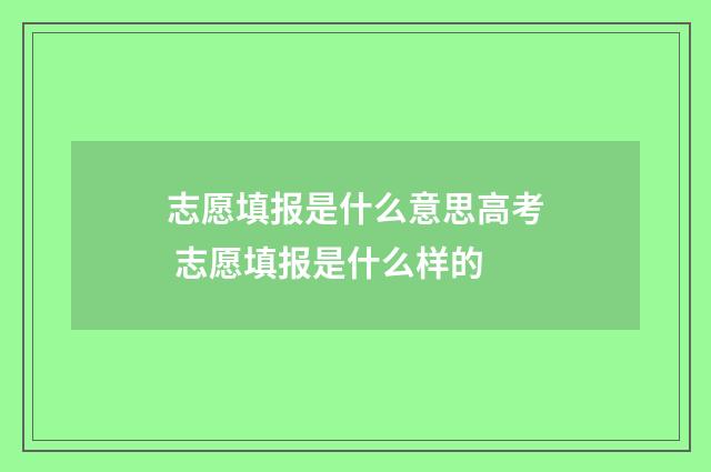 志愿填报是什么意思高考 志愿填报是什么样的