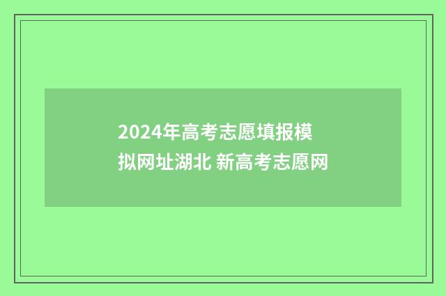 2024年高考志愿填报模拟网址湖北 新高考志愿网