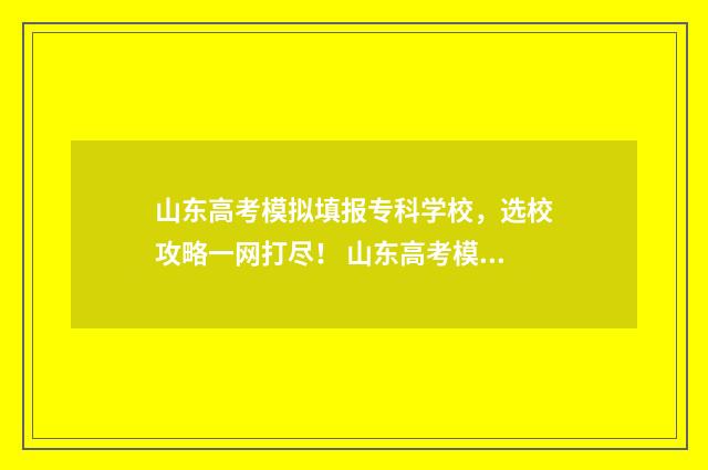 山东高考模拟填报专科学校，选校攻略一网打尽！ 山东高考模拟填报系统