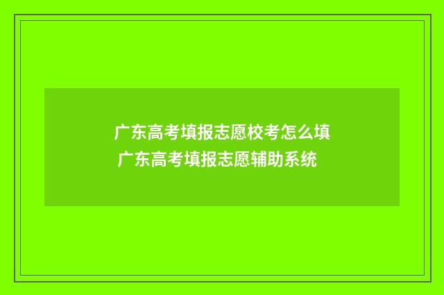 广东高考填报志愿校考怎么填 广东高考填报志愿辅助系统
