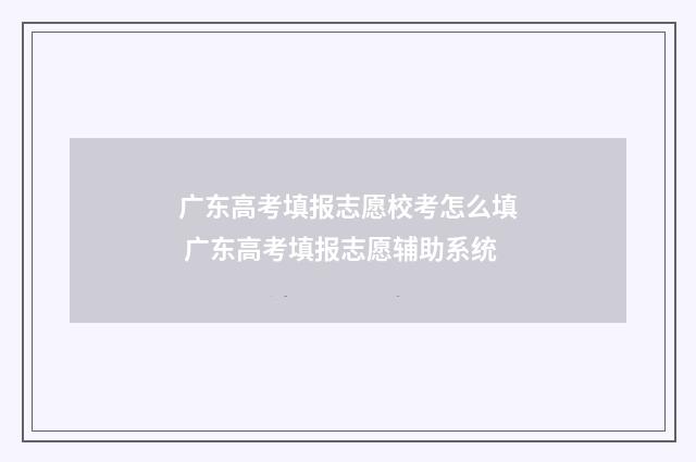 广东高考填报志愿校考怎么填 广东高考填报志愿辅助系统