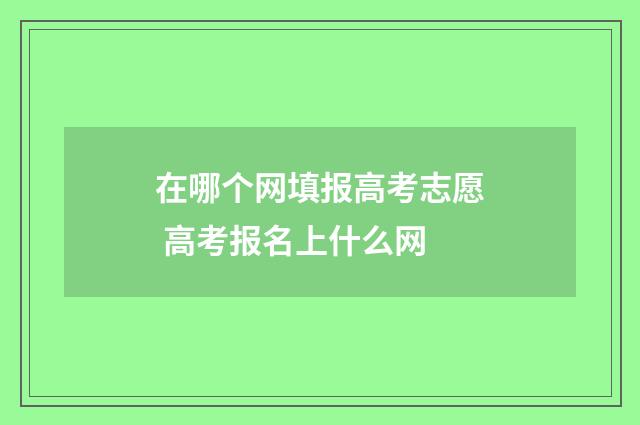 在哪个网填报高考志愿 高考报名上什么网