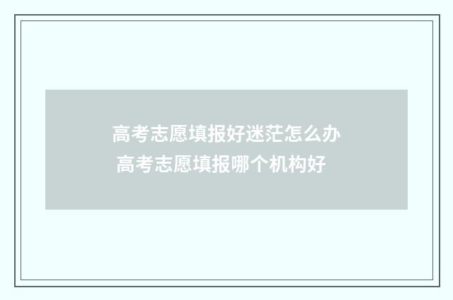 高考志愿填报好迷茫怎么办 高考志愿填报哪个机构好
