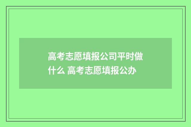 高考志愿填报公司平时做什么 高考志愿填报公办