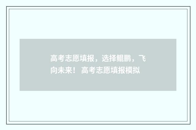 高考志愿填报，选择鲲鹏，飞向未来！ 高考志愿填报模拟