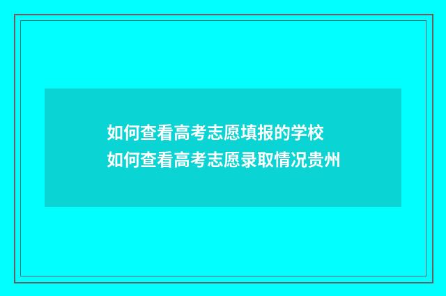 如何查看高考志愿填报的学校 如何查看高考志愿录取情况贵州