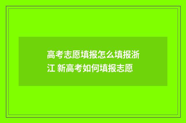 高考志愿填报怎么填报浙江 新高考如何填报志愿