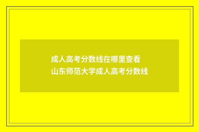 成人高考分数线在哪里查看 山东师范大学成人高考分数线