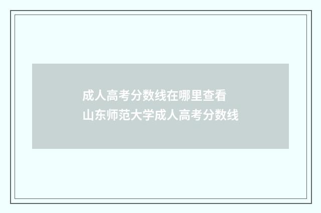 成人高考分数线在哪里查看 山东师范大学成人高考分数线