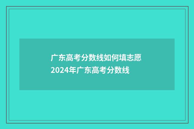 广东高考分数线如何填志愿 2024年广东高考分数线