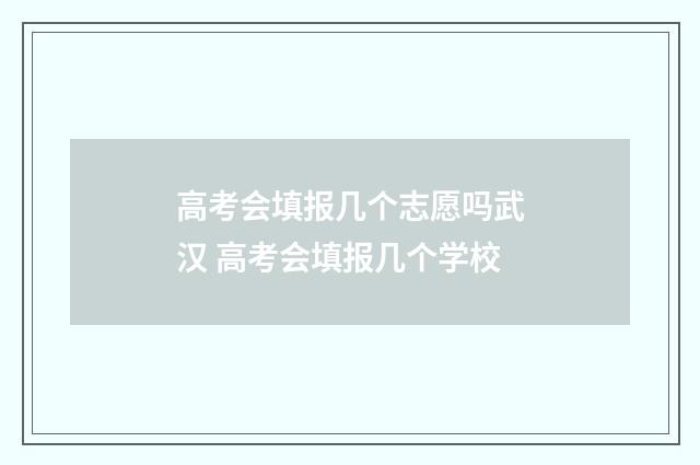 高考会填报几个志愿吗武汉 高考会填报几个学校