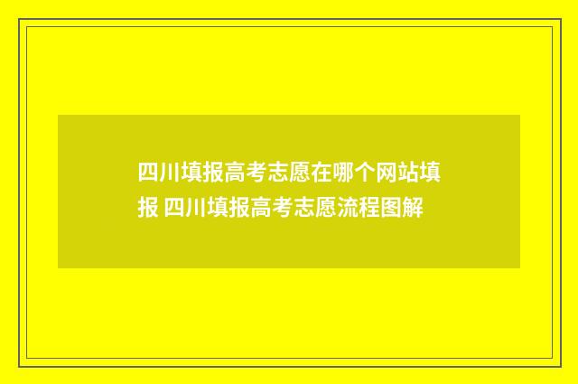 四川填报高考志愿在哪个网站填报 四川填报高考志愿流程图解