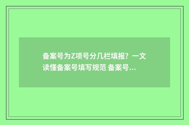 备案号为Z项号分几栏填报？一文读懂备案号填写规范 备案号组成