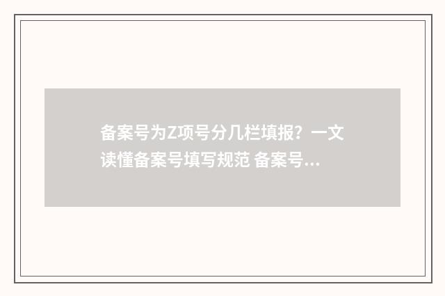 备案号为Z项号分几栏填报？一文读懂备案号填写规范 备案号组成