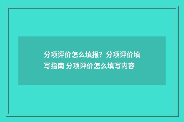 分项评价怎么填报？分项评价填写指南 分项评价怎么填写内容