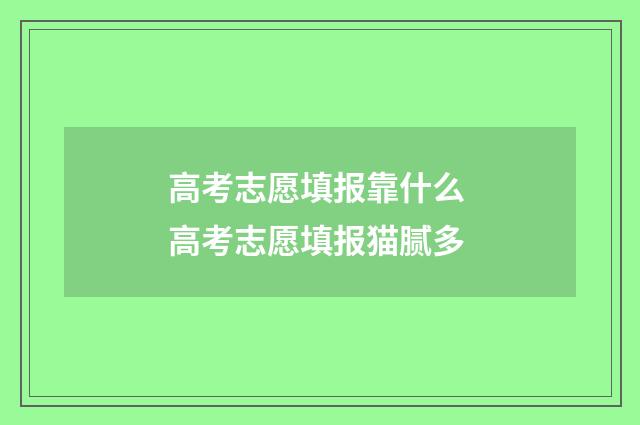 高考志愿填报靠什么 高考志愿填报猫腻多