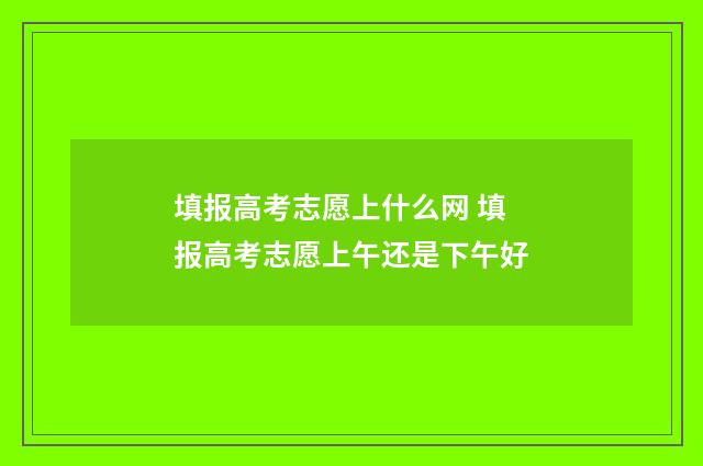 填报高考志愿上什么网 填报高考志愿上午还是下午好