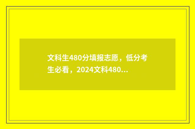 文科生480分填报志愿，低分考生必看，2024文科480分能上什么大学 文科480算高分吗