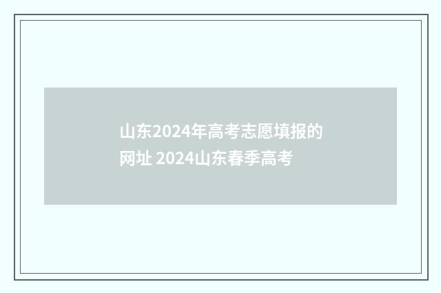 山东2024年高考志愿填报的网址 2024山东春季高考