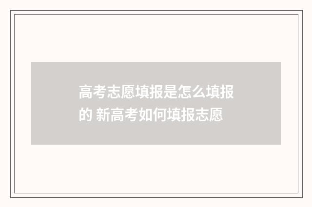 高考志愿填报是怎么填报的 新高考如何填报志愿