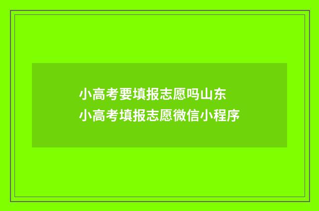 小高考要填报志愿吗山东 小高考填报志愿微信小程序