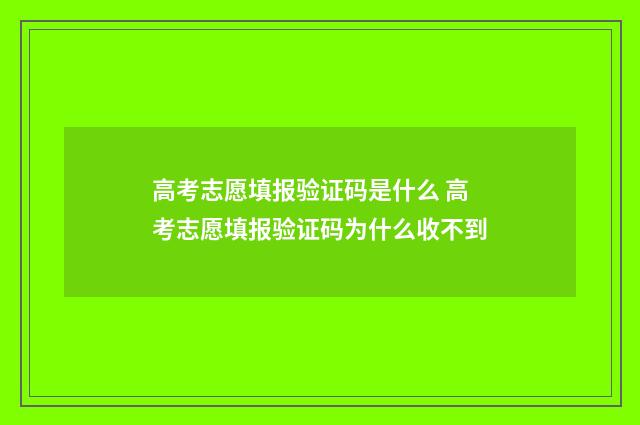 高考志愿填报验证码是什么 高考志愿填报验证码为什么收不到