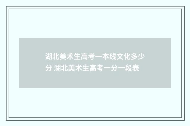 湖北美术生高考一本线文化多少分 湖北美术生高考一分一段表