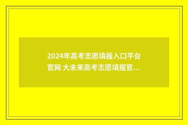 2024年高考志愿填报入口平台官网 大未来高考志愿填报官网