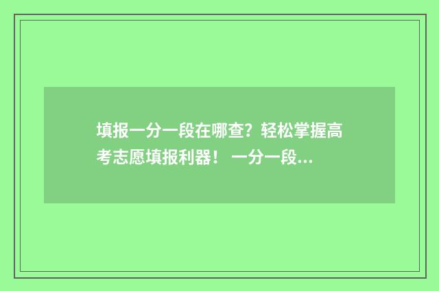 填报一分一段在哪查？轻松掌握高考志愿填报利器！ 一分一段表考生人数是什么意思
