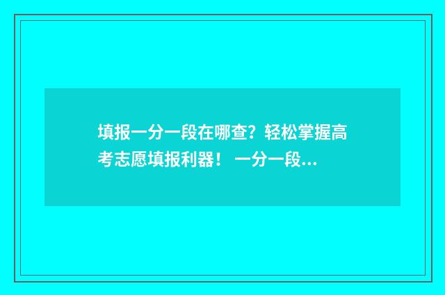 填报一分一段在哪查？轻松掌握高考志愿填报利器！ 一分一段表考生人数是什么意思