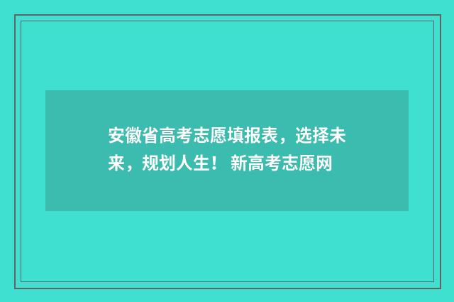 安徽省高考志愿填报表，选择未来，规划人生！ 新高考志愿网
