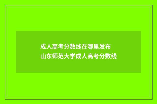 成人高考分数线在哪里发布 山东师范大学成人高考分数线