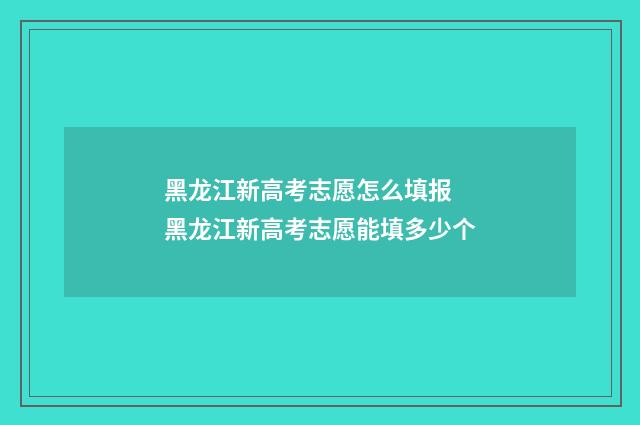 黑龙江新高考志愿怎么填报 黑龙江新高考志愿能填多少个