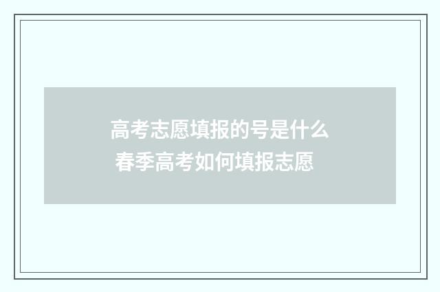 高考志愿填报的号是什么 春季高考如何填报志愿