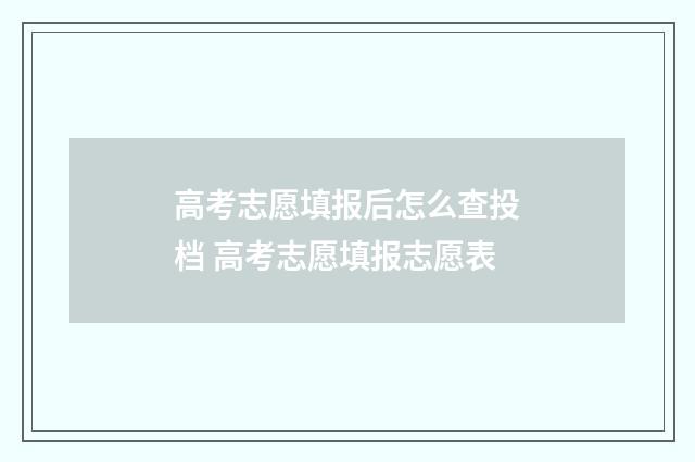 高考志愿填报后怎么查投档 高考志愿填报志愿表