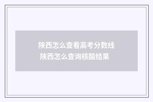 陕西怎么查看高考分数线 陕西怎么查询核酸结果