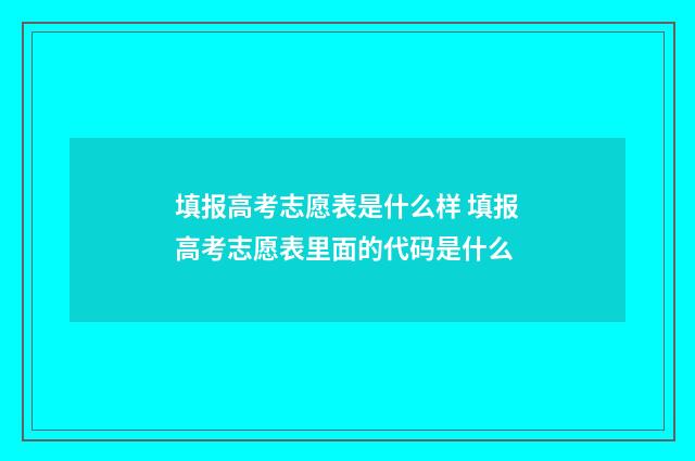 填报高考志愿表是什么样 填报高考志愿表里面的代码是什么