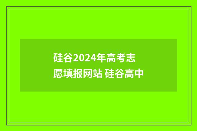 硅谷2024年高考志愿填报网站 硅谷高中