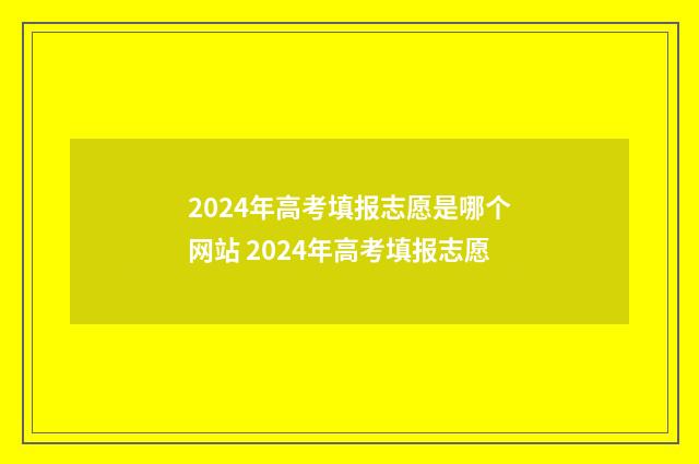 2024年高考填报志愿是哪个网站 2024年高考填报志愿