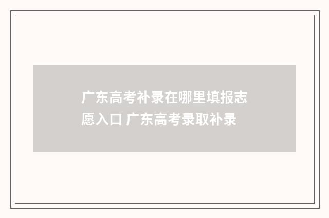 广东高考补录在哪里填报志愿入口 广东高考录取补录