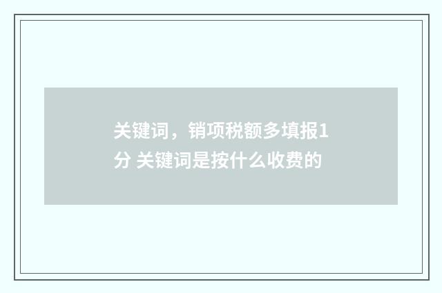 关键词，销项税额多填报1分 关键词是按什么收费的