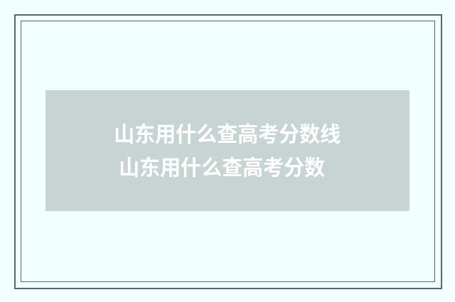 山东用什么查高考分数线 山东用什么查高考分数