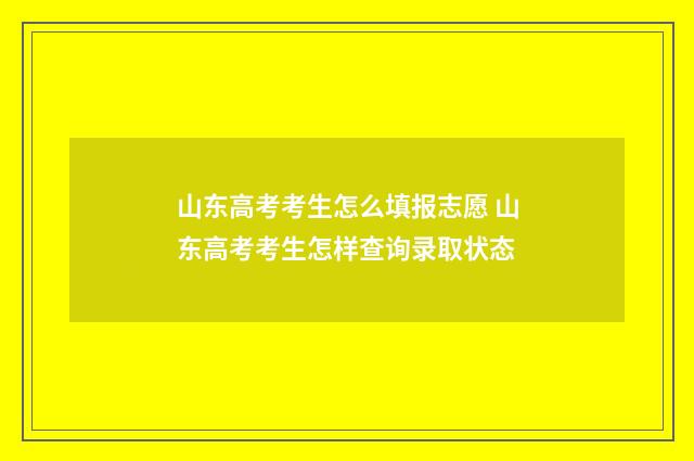 山东高考考生怎么填报志愿 山东高考考生怎样查询录取状态