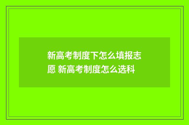 新高考制度下怎么填报志愿 新高考制度怎么选科