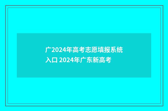 广2024年高考志愿填报系统入口 2024年广东新高考